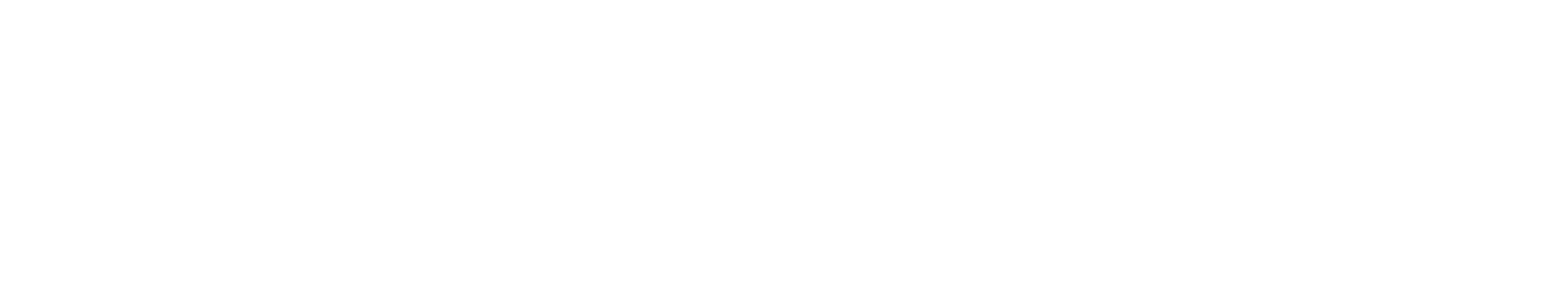Colonial Life logo
